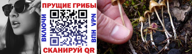 Купить закладки  Комсомольск-на-Амуре  Псилоцибиновые грибы прущие грибы 